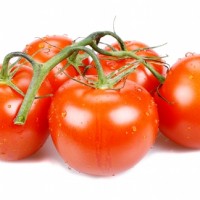 Tomaten schmecken immer