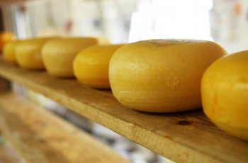 Käse einfrieren